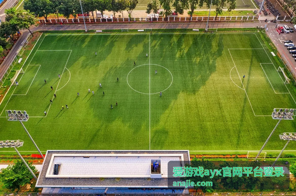 爱游戏ayx官网平台登录多端显示差异说明