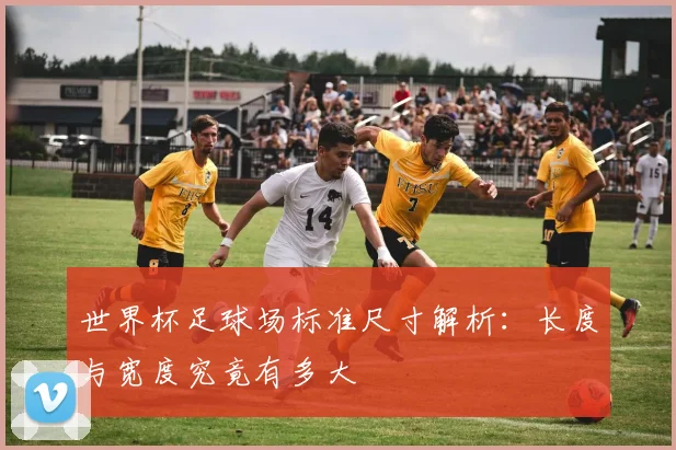 世界杯足球场标准尺寸解析:长度与宽度究竟有多大