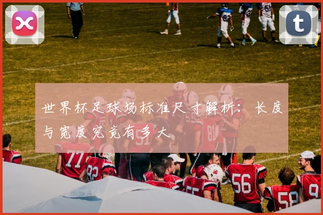 世界杯足球场标准尺寸解析：长度与宽度究竟有多大