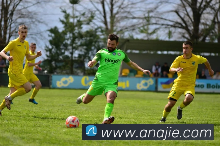 在线买世界杯平台平台生态图